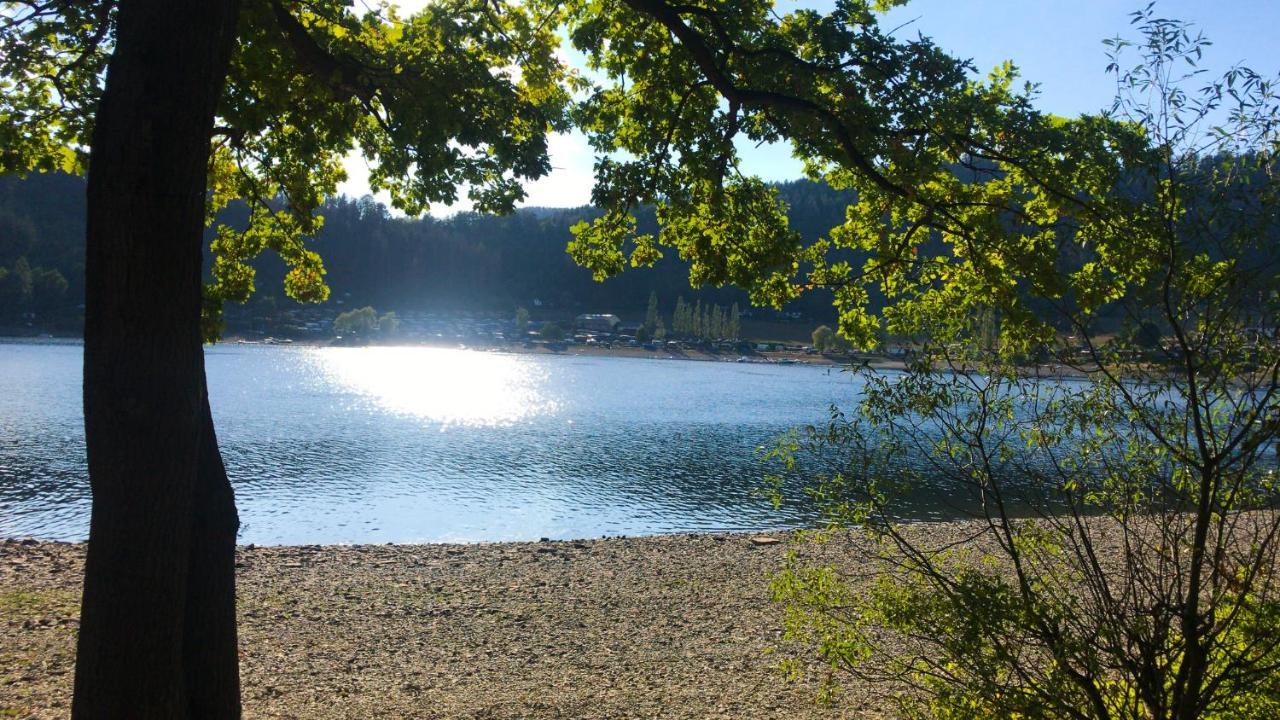Schlossberg Apartments & Garten In Der Natur & Unweit Vom "Thueringer Meer" Unterwellenborn المظهر الخارجي الصورة