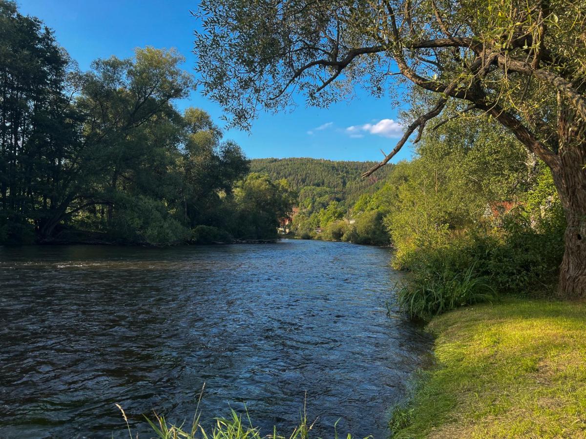 Schlossberg Apartments & Garten In Der Natur & Unweit Vom "Thueringer Meer" Unterwellenborn المظهر الخارجي الصورة