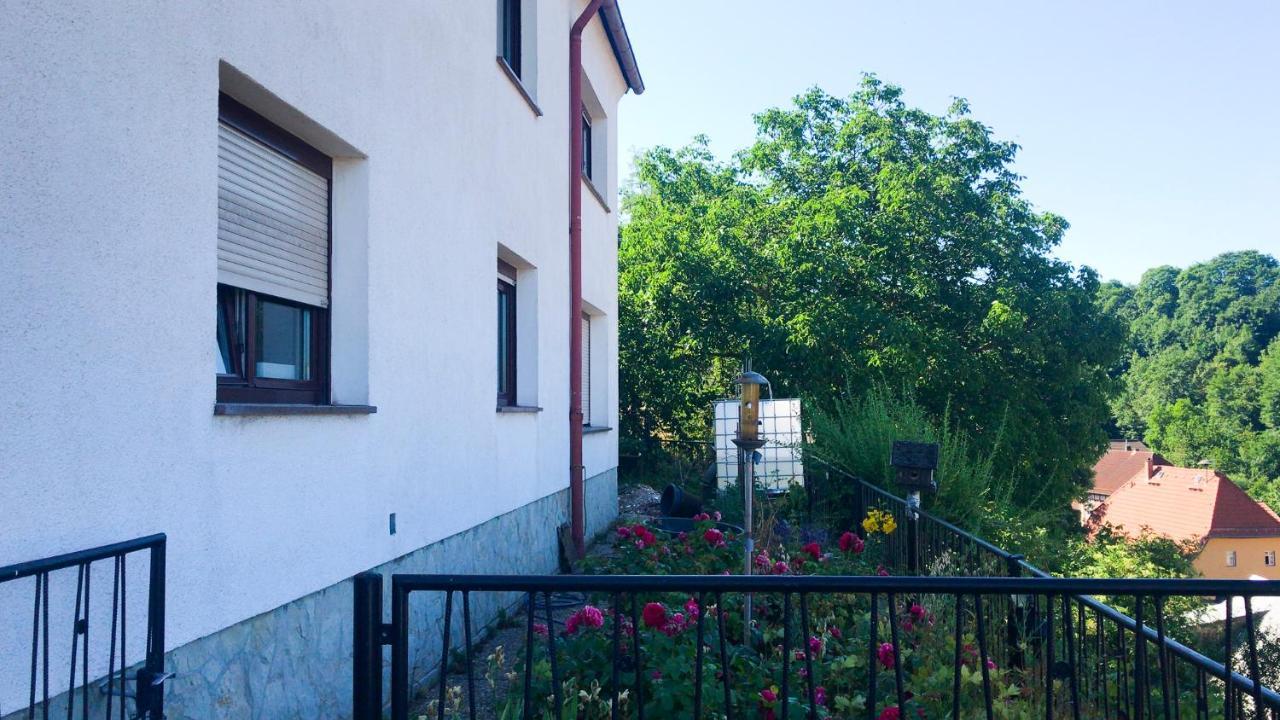 Schlossberg Apartments & Garten In Der Natur & Unweit Vom "Thueringer Meer" Unterwellenborn المظهر الخارجي الصورة