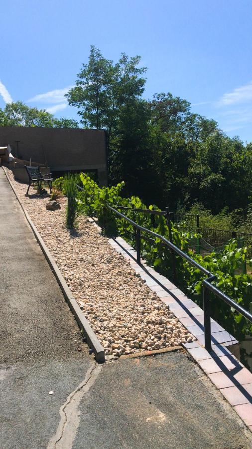 Schlossberg Apartments & Garten In Der Natur & Unweit Vom "Thueringer Meer" Unterwellenborn المظهر الخارجي الصورة